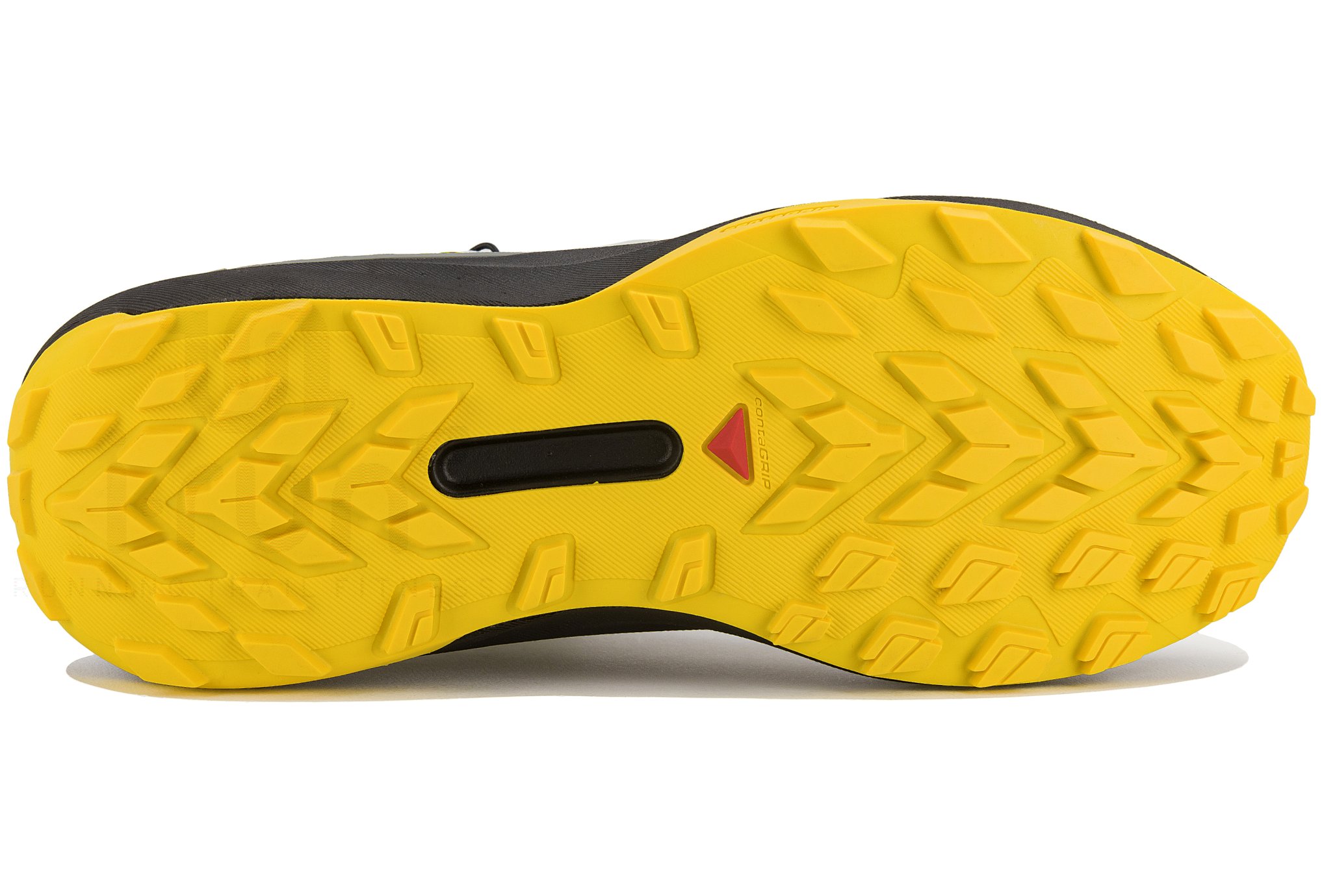 Salomon Genesis