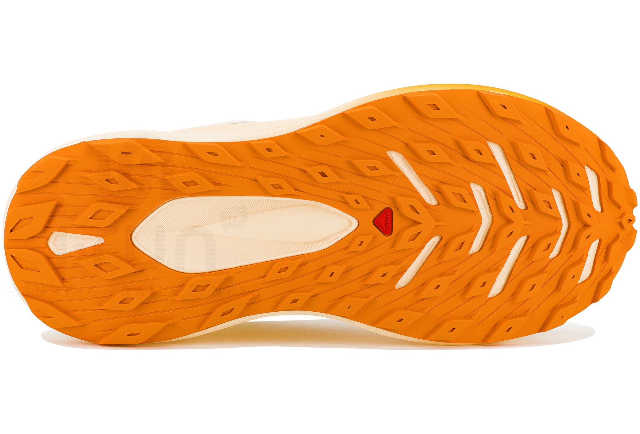 Salomon Glide Max TR W