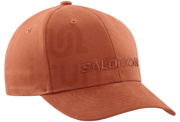 Salomon Logo 