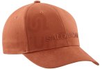 Salomon Logo