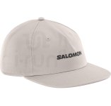 Salomon Logo Flat