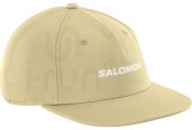 Salomon Logo Flat 