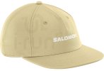 Salomon Logo Flat