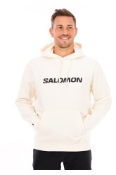 Salomon LOGO