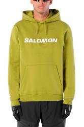 Salomon LOGO