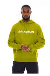 Salomon LOGO