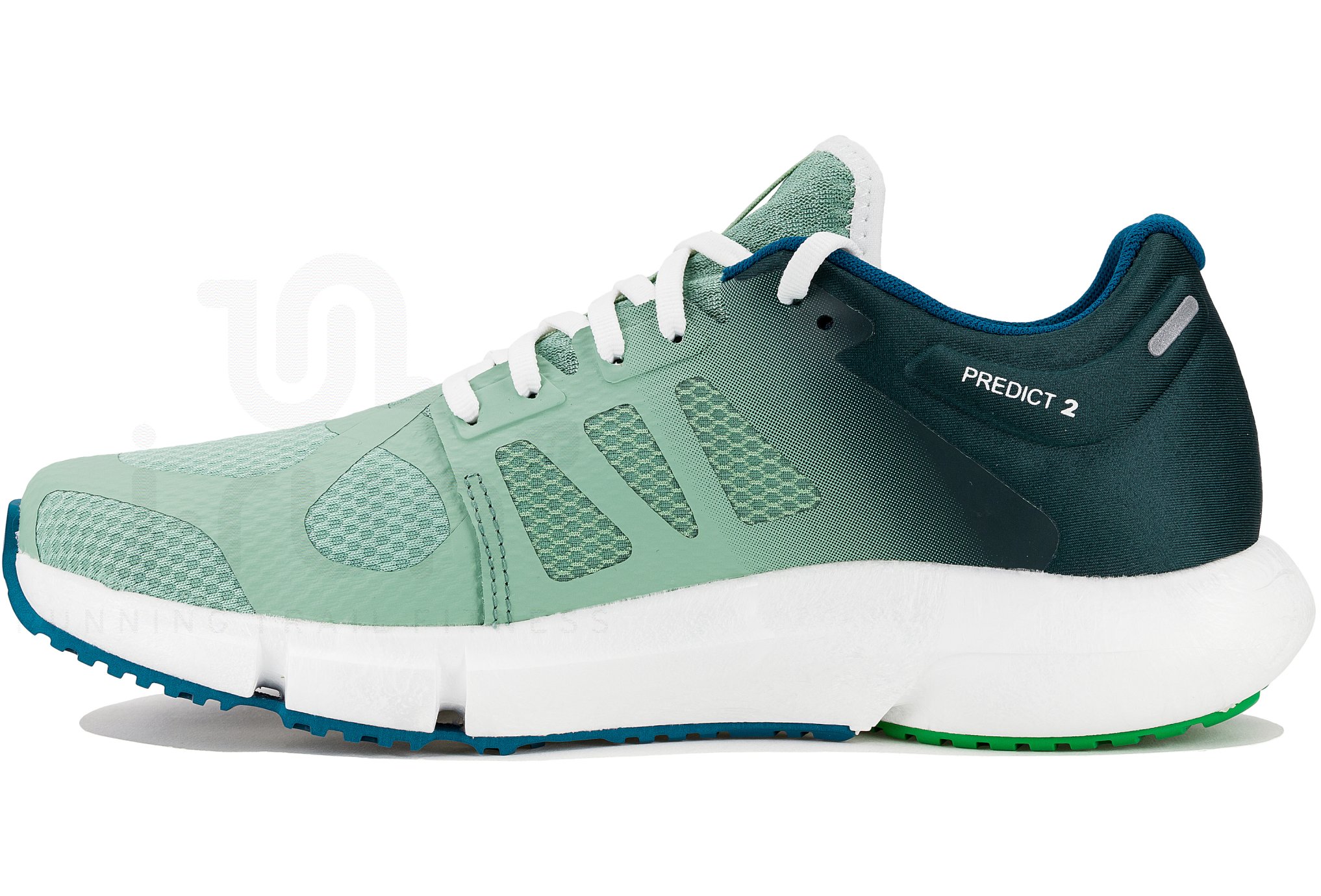 Salomon Predict 2 Herren