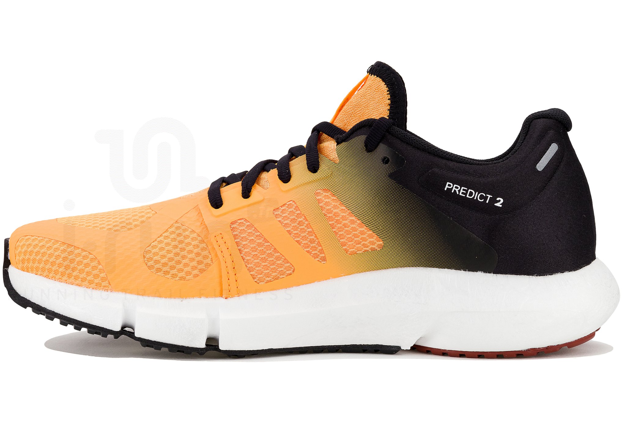 Salomon Predict 2