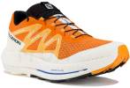 Salomon Pulsar Trail Herren