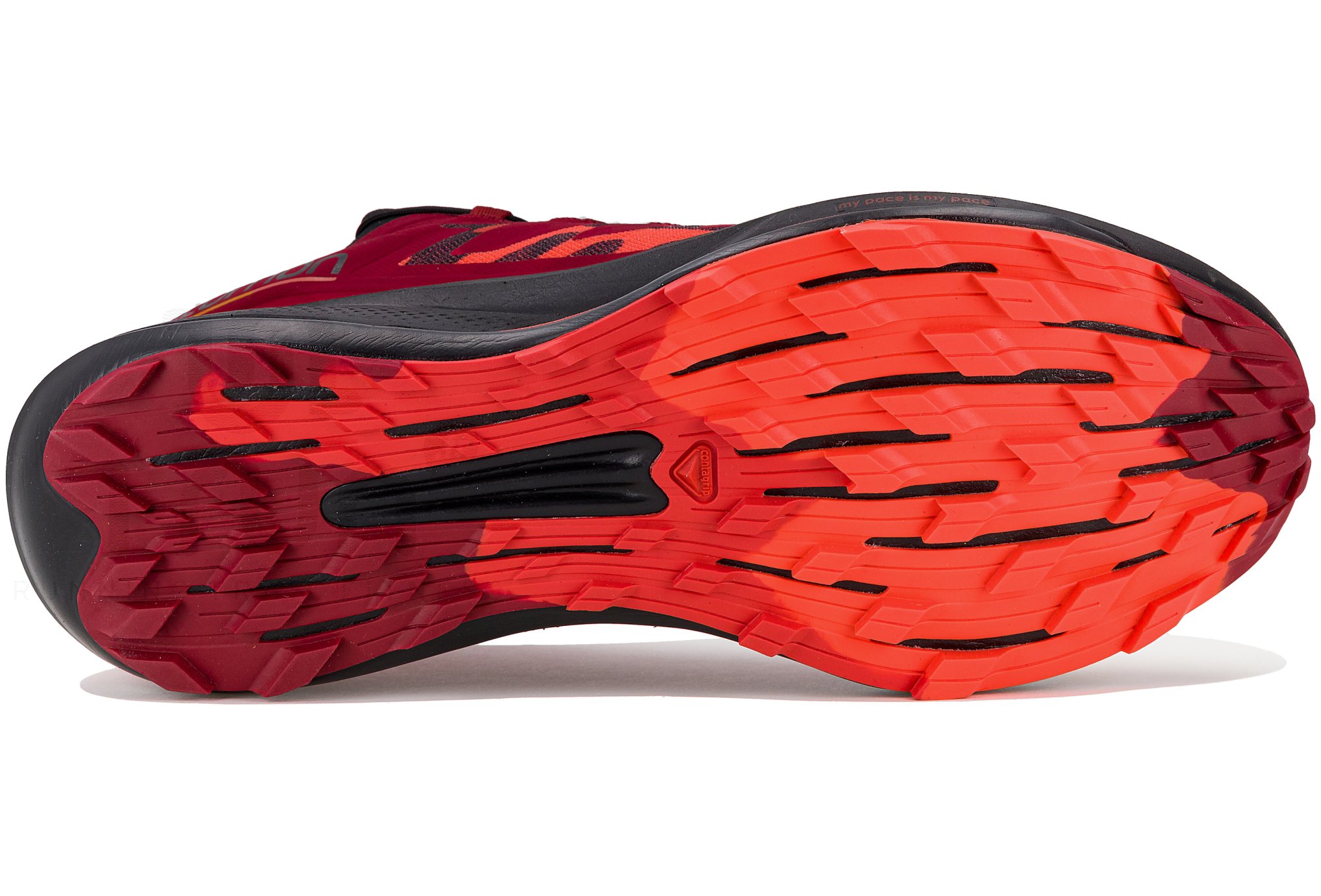 Salomon Pulsar Trail Pro Ciele Herren