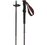 Salomon bastones de marcha Quest Carbon Foldable