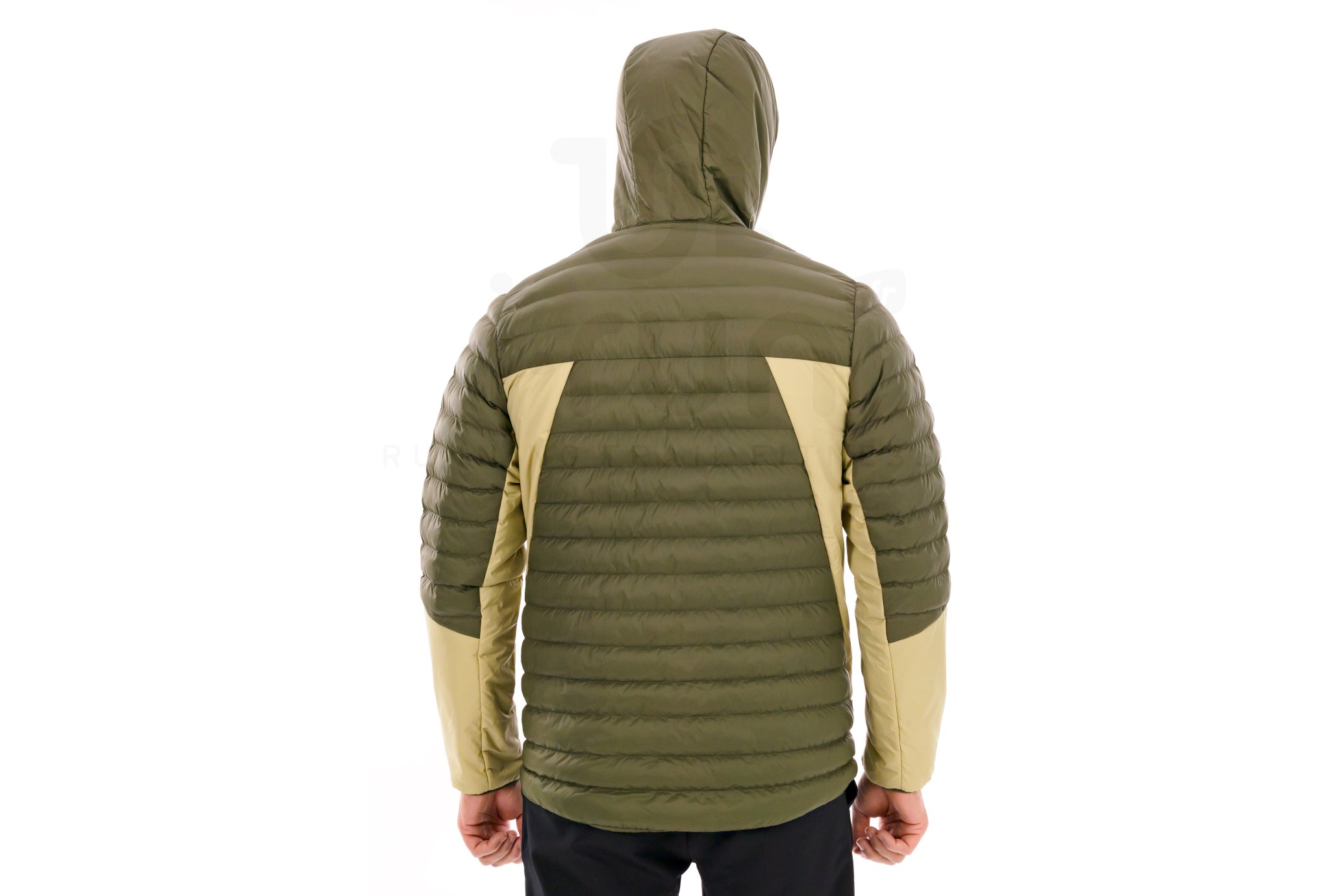 Salomon RFLX HD