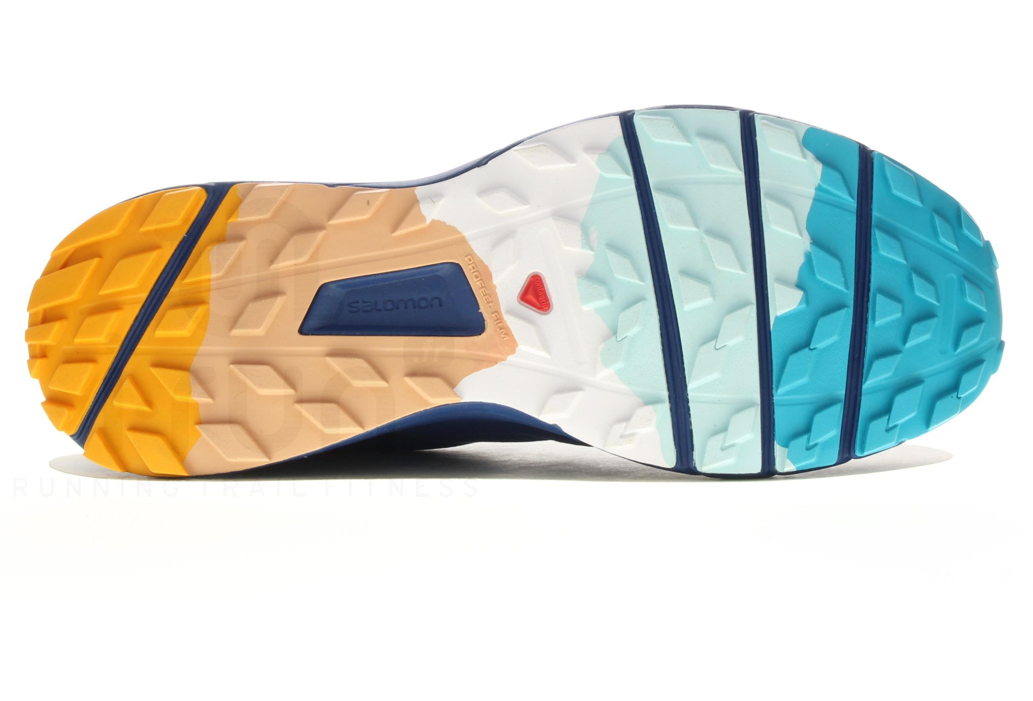 Salomon Sense Ride 2 Edici�n Limitada Mont Blanc