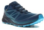 Salomon Sense Ride 2 Gore-Tex