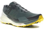 Salomon Sense Ride 3