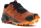 Salomon Speedcross 5 Gore-Tex