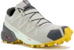 Salomon Speedcross 6 Gore-Tex