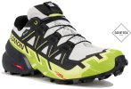Salomon Speedcross 6 Gore-Tex Herren