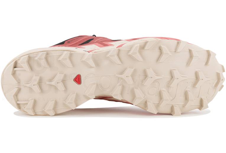 Salomon Speedcross 6 Gore-Tex W 