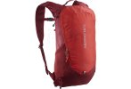 Salomon Trailblazer 10
