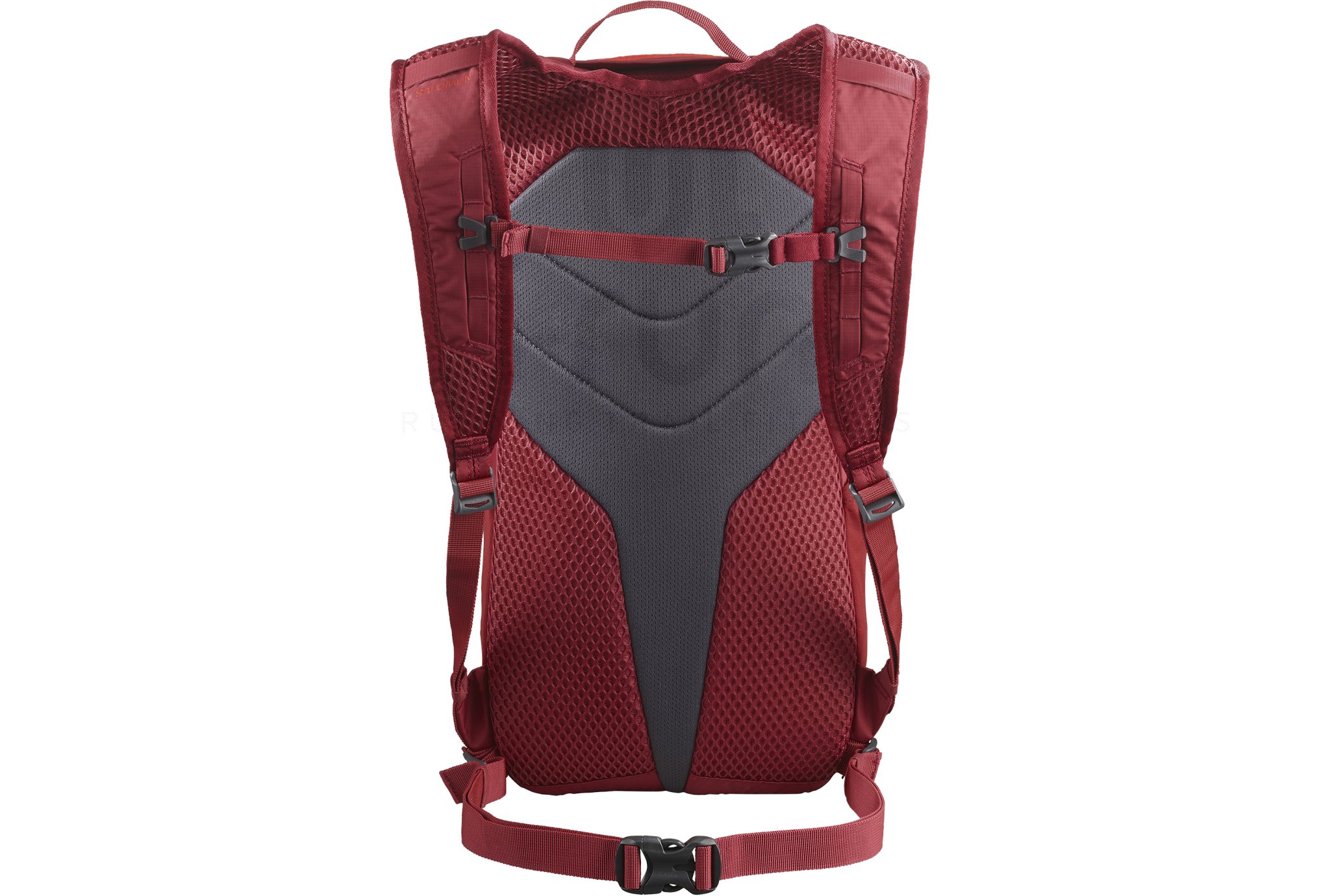 Salomon Trailblazer 10