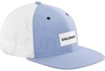 Salomon Trucker Flat