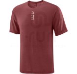 Salomon Ultra All Day - All Mountain