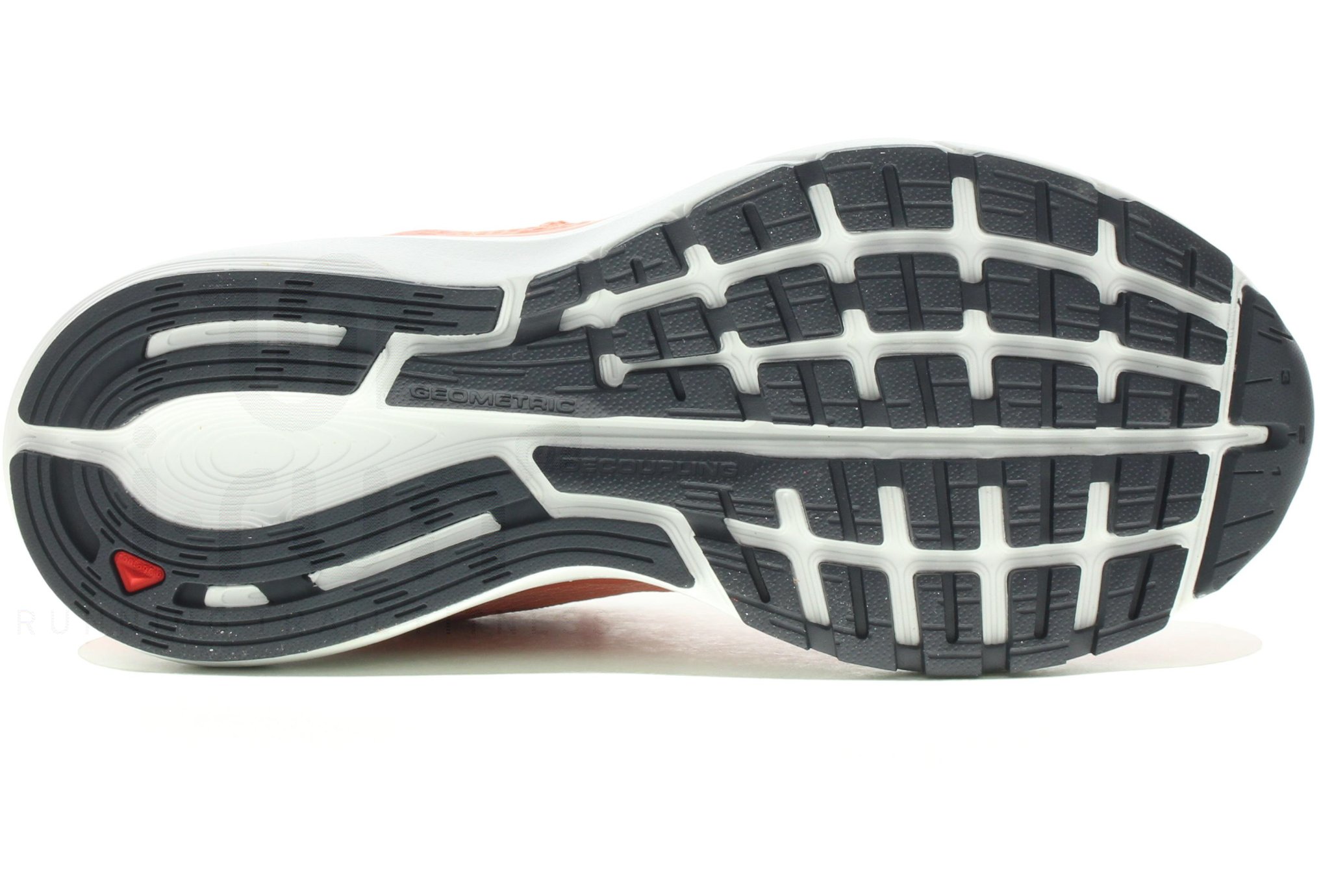 Salomon Vectur