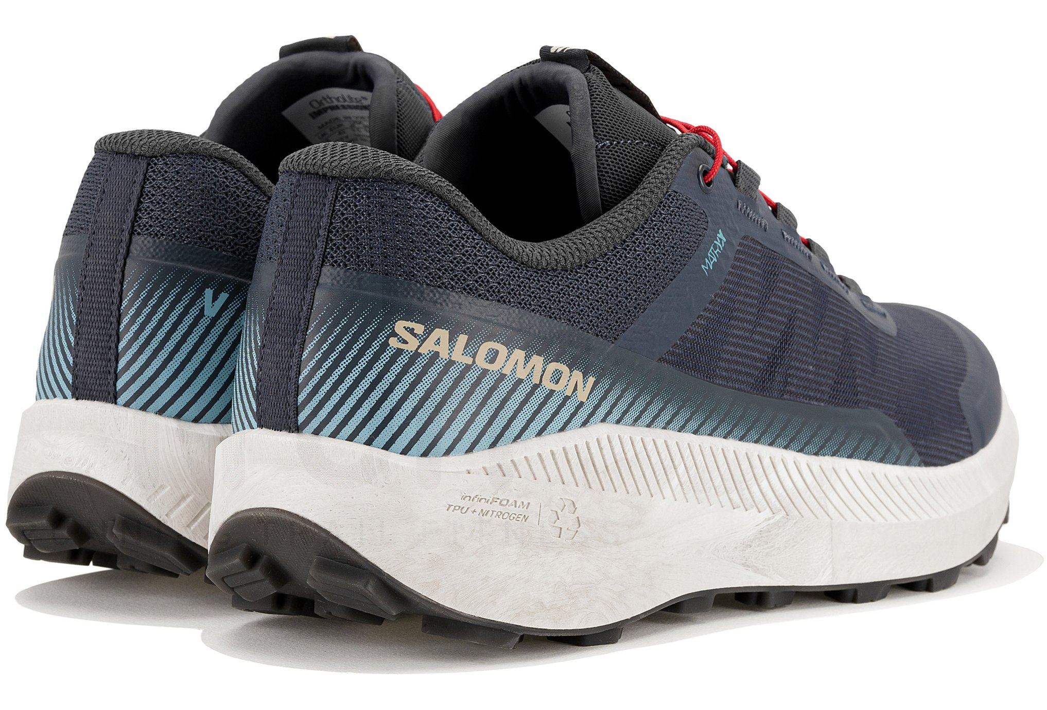 Salomon Vis�o