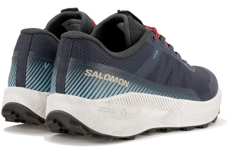Salomon Vis�o