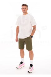 Salomon Wayfarer 2.0