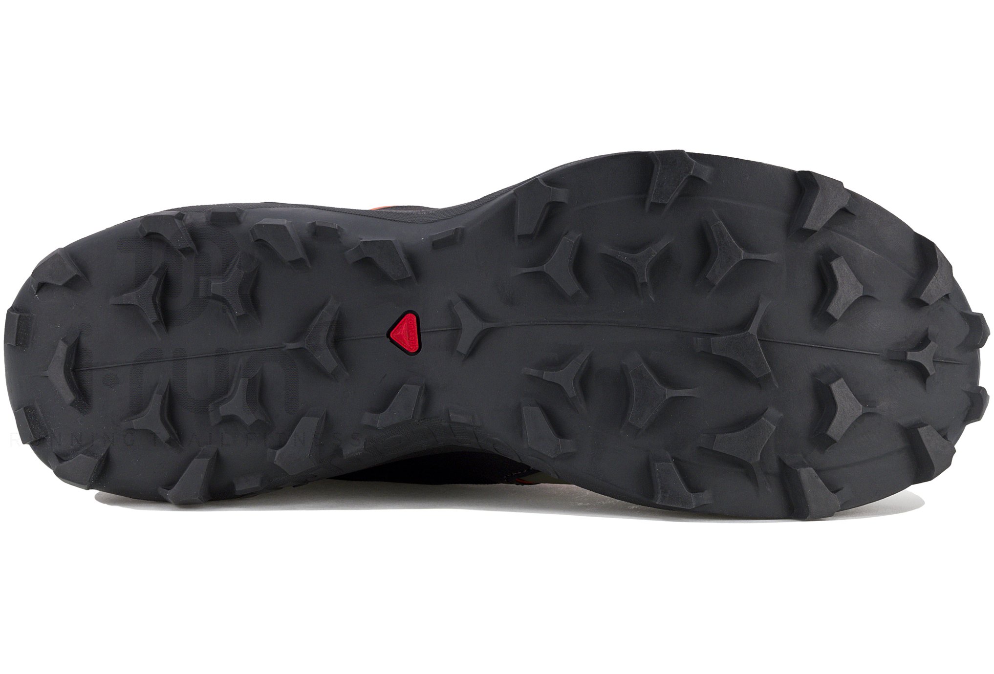 Salomon Wildcross 2 Gore-Tex Herren