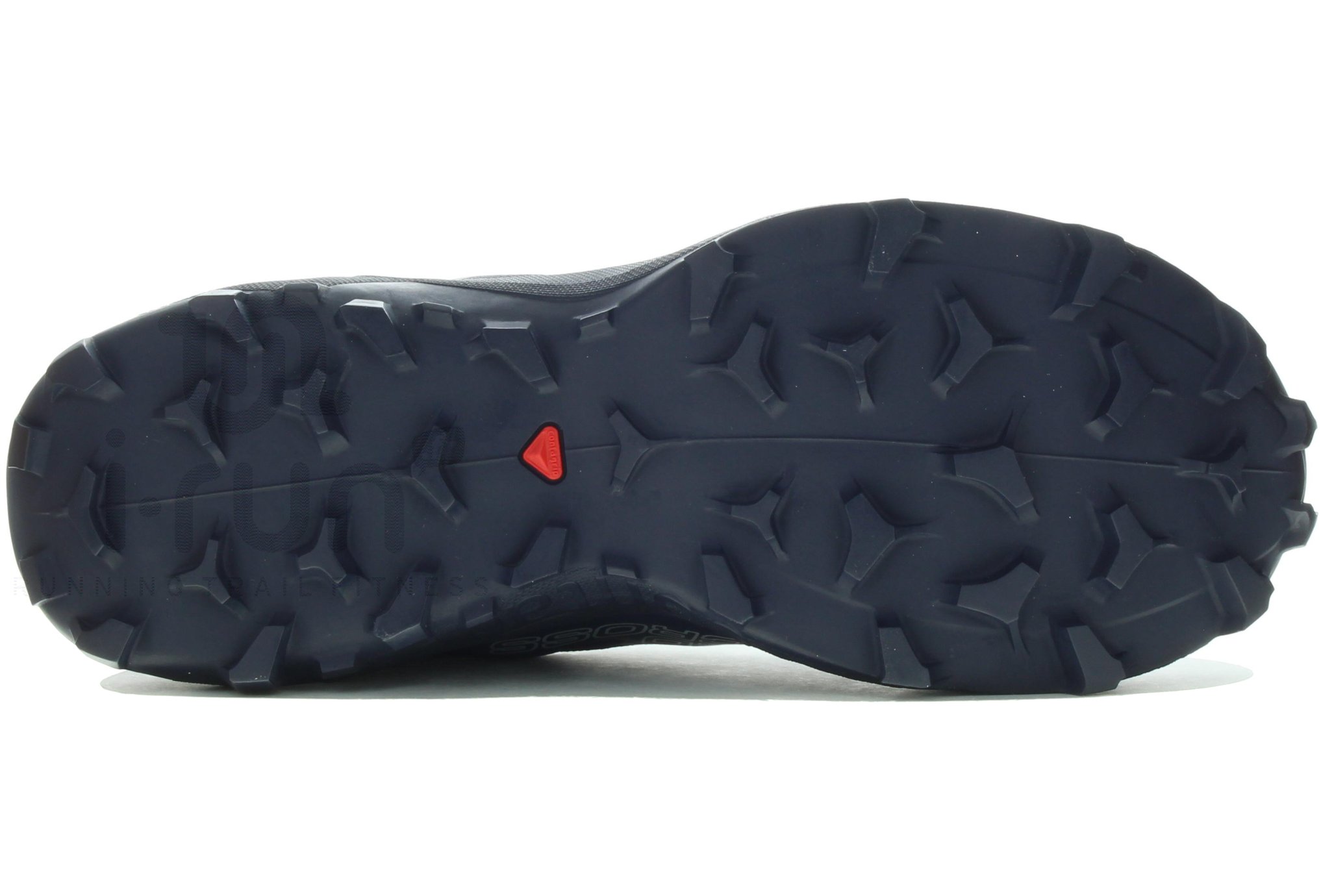 Salomon Wildcross Gore-Tex