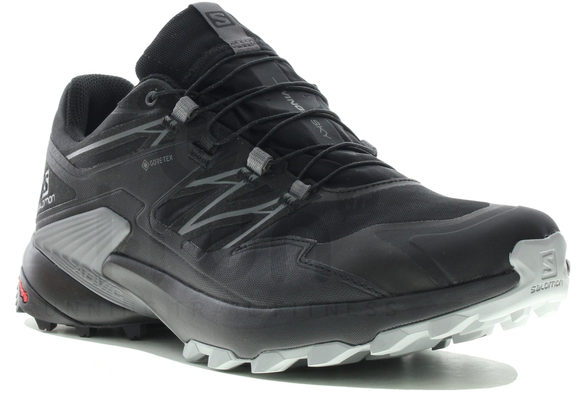 Salomon Wings Sky Gore-Tex Herren