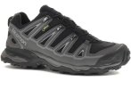 Salomon X Ultra 2 Gore-Tex