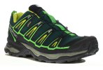 Salomon X Ultra 2 Gore-Tex