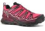 Salomon X Ultra 2 Gore-Tex
