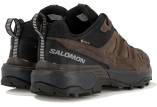 Salomon X Ultra 360 Leather Gore-Tex