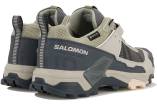 Salomon X Ultra 5 Gore-Tex
