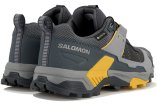 Salomon X Ultra 5 Gore-Tex