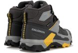 Salomon X Ultra 5 Mid Gore-Tex Herren