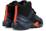 Salomon X Ultra Alpine Mid Gore-Tex