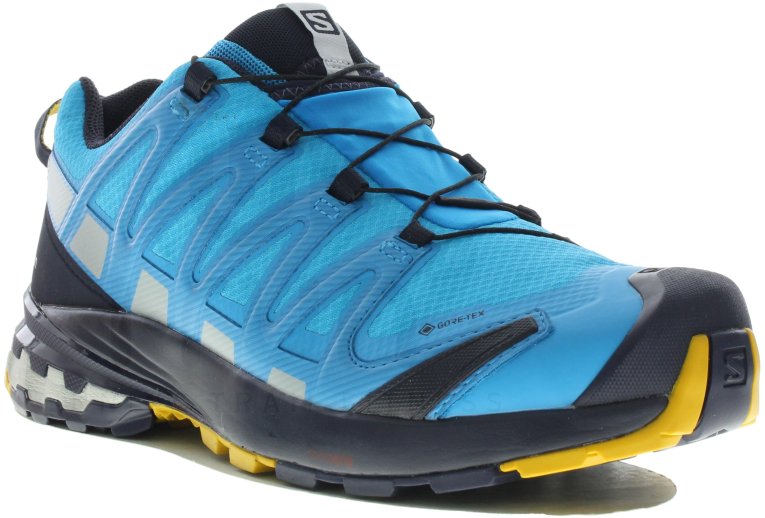 Salomon XA PRO 3D v8 Gore-Tex Herren