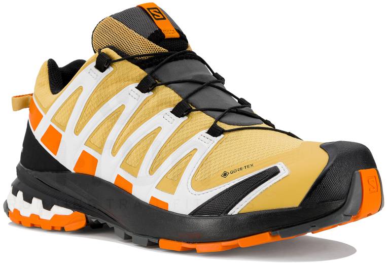Salomon XA PRO 3D v8 Gore-Tex M 