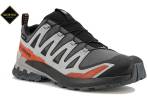 Salomon XA PRO 3D v9 Gore-Tex