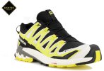 Salomon XA PRO 3D v9 Gore-Tex Herren