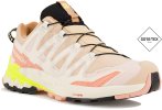 Salomon XA PRO 3D v9 Gore-Tex