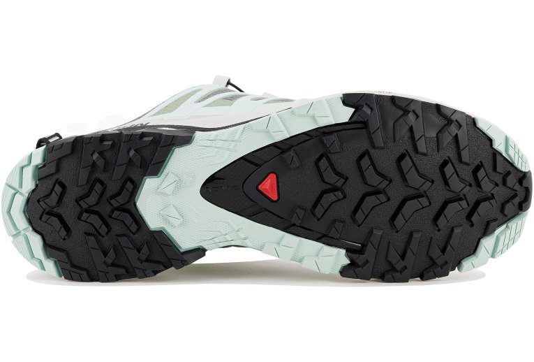Salomon XA PRO 3D v9 W