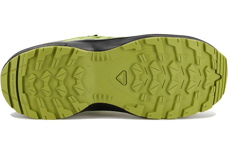 Salomon XA PRO V8