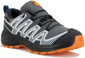 Salomon XA PRO V8 WP 